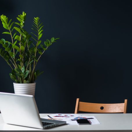 Desk with computer, plant and chair